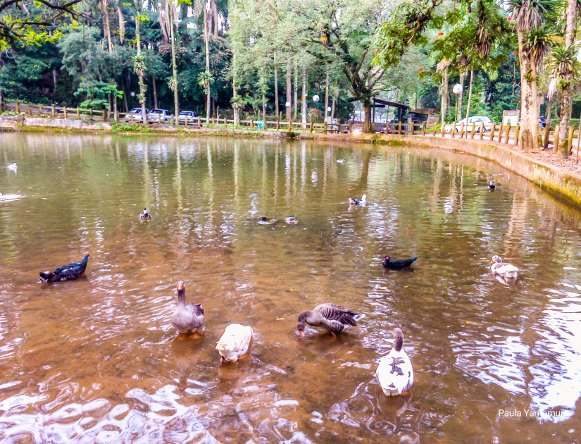 lago-parque-do-jaragua